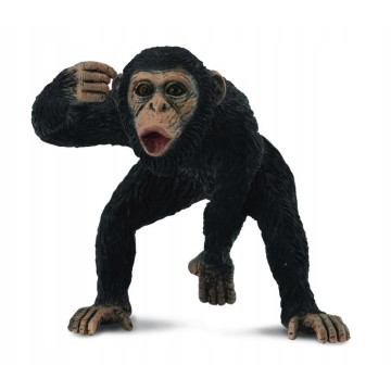 COLLECTA Szympans samiec