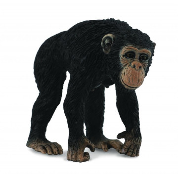 COLLECTA Szympans samica