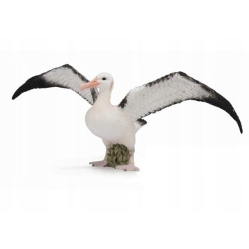 COLLECTA Albatros wędrowny
